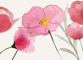 Gavekort til Noramoe