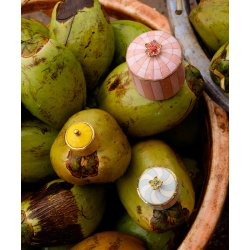 Doing Goods - Lou Circus Box - Medium - Blue