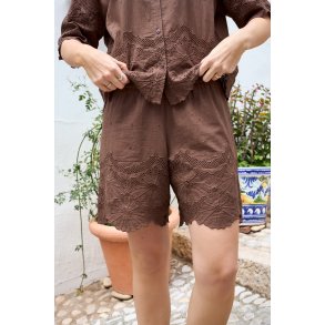 Black Colour - Agneta Lace Shorts - Espresso