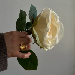 Pico - Cleo Ring - FG