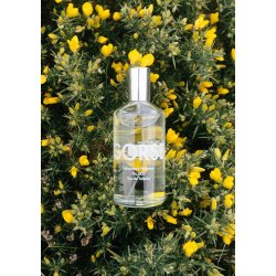 Laboratory Perfumes - Gorse - Eau de Toilette - 100ml