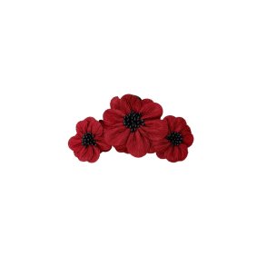 Black Colour - BCLilibet Hair Claw - Wine - Onesize