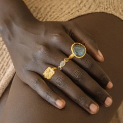 Ananda Soul - From Darkness To Light - Ring - Gold - Labradorite