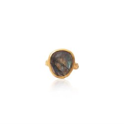 Ananda Soul - From Darkness To Light - Ring - Gold - Labradorite