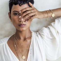 Ananda Soul - Am Whole Armbnd - Gold - Labradorite - Moonstone