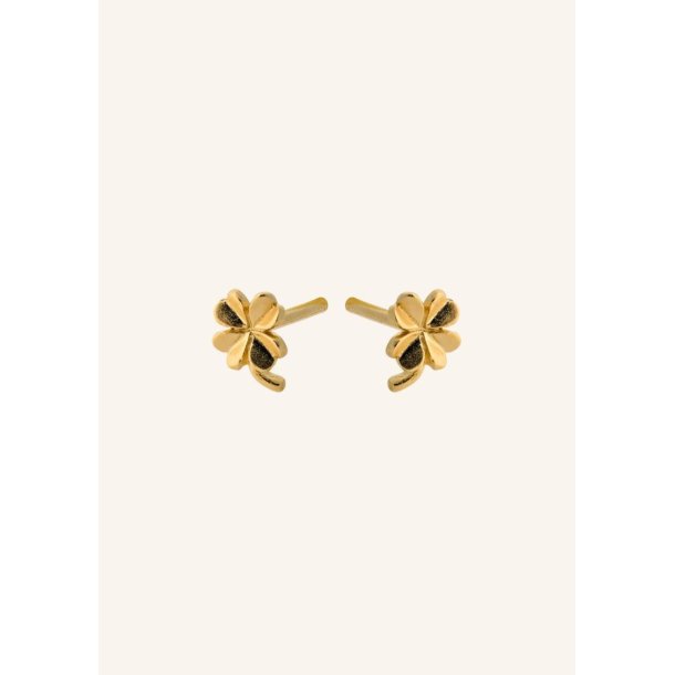 Pernille Corydon - Mini Clover Earsticks - Guld - 4 mm